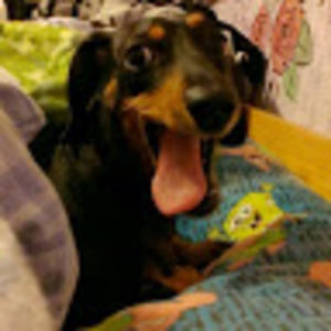 Meet your Posher, Beth